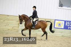 23R13_16246 thumbnail