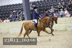 23R13_16266 thumbnail