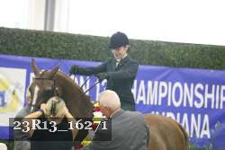 23R13_16271 thumbnail