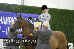 23R13_16279 thumbnail