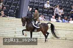 23R13_16286 thumbnail
