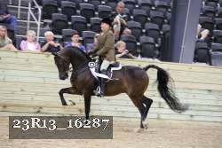 23R13_16287 thumbnail
