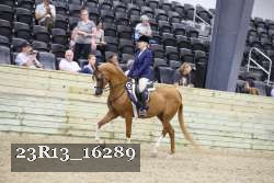 23R13_16289 thumbnail