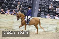 23R13_16291 thumbnail