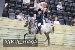 23R13_16292 thumbnail