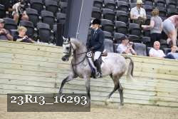 23R13_16293 thumbnail
