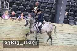 23R13_16294 thumbnail