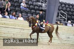 23R13_16296 thumbnail