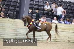 23R13_16297 thumbnail