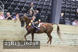 23R13_16298 thumbnail