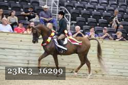 23R13_16299 thumbnail