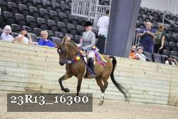 23R13_16300 thumbnail