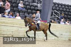 23R13_16301 thumbnail