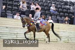 23R13_16302 thumbnail
