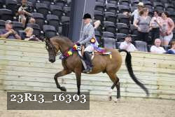23R13_16303 thumbnail