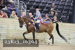 23R13_16304 thumbnail
