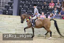 23R13_16306 thumbnail