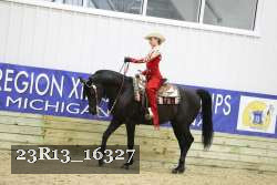 23R13_16327 thumbnail