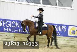 23R13_16333 thumbnail