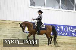 23R13_16334 thumbnail