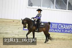 23R13_16336 thumbnail