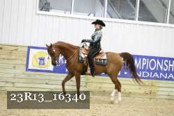 23R13_16340 thumbnail