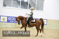 23R13_16343 thumbnail
