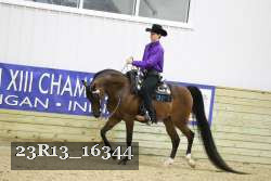 23R13_16344 thumbnail