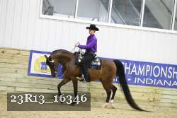 23R13_16346 thumbnail