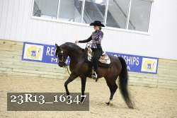 23R13_16347 thumbnail