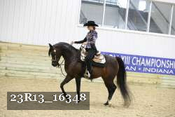 23R13_16348 thumbnail