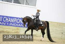 23R13_16349 thumbnail