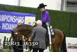 23R13_16350 thumbnail