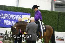 23R13_16351 thumbnail