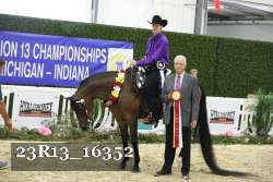 23R13_16352 thumbnail