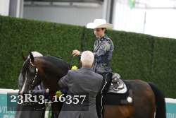 23R13_16357 thumbnail