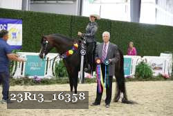 23R13_16358 thumbnail
