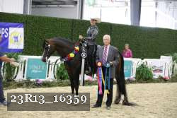 23R13_16359 thumbnail