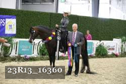 23R13_16360 thumbnail