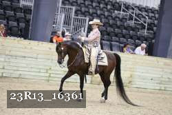 23R13_16361 thumbnail