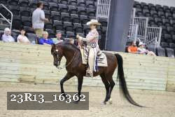 23R13_16362 thumbnail