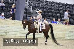 23R13_16363 thumbnail