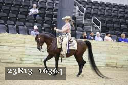 23R13_16364 thumbnail