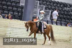 23R13_16366 thumbnail