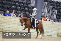 23R13_16367 thumbnail