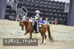23R13_16368 thumbnail