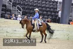 23R13_16371 thumbnail