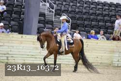23R13_16372 thumbnail