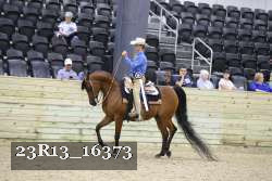 23R13_16373 thumbnail