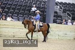 23R13_16374 thumbnail